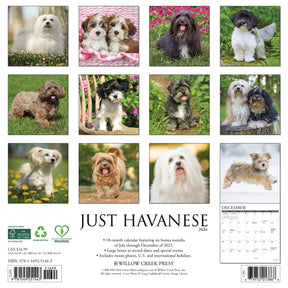 Willow Creek Press - 2026 Havanese Calendar
