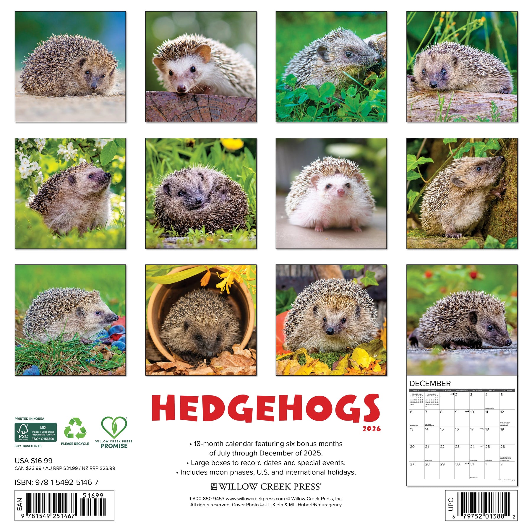 Willow Creek Press - 2026 Hedgehogs Calendar