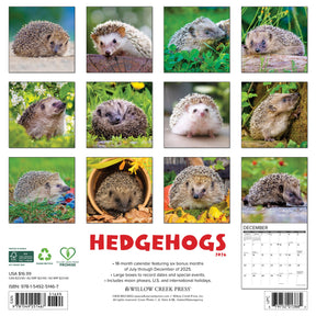 Willow Creek Press - 2026 Hedgehogs Calendar
