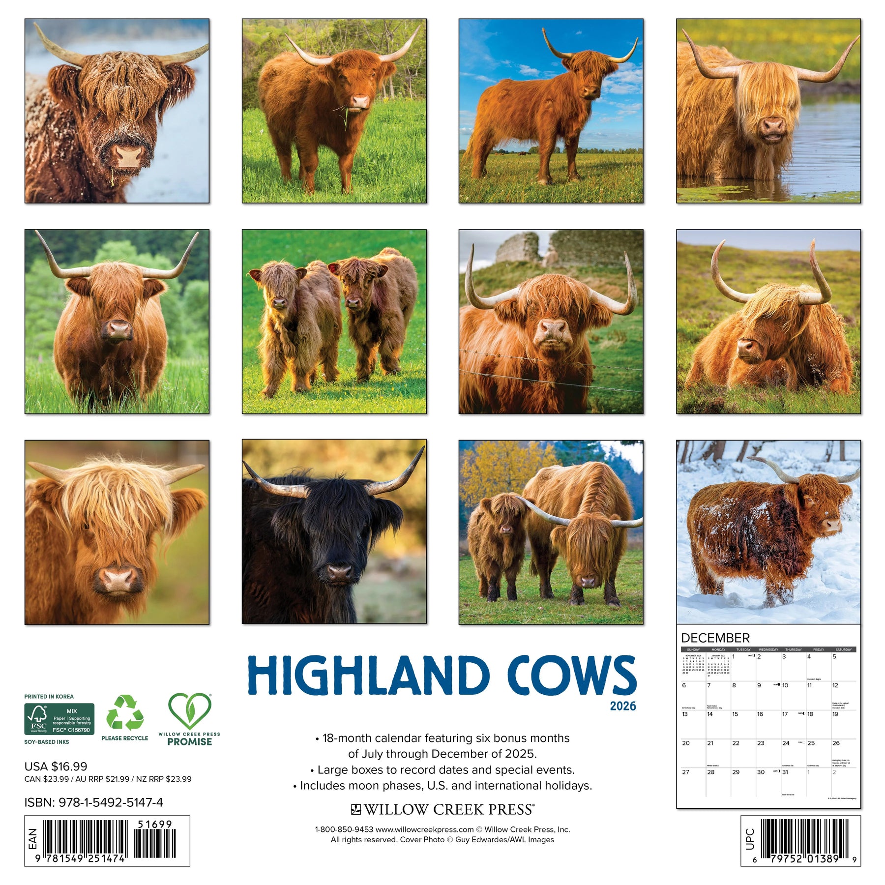 Willow Creek Press - 2026 Highland Cows Calendar