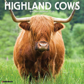 Willow Creek Press - 2026 Highland Cows Calendar