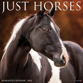 Willow Creek Press - 2026 Horses Calendar