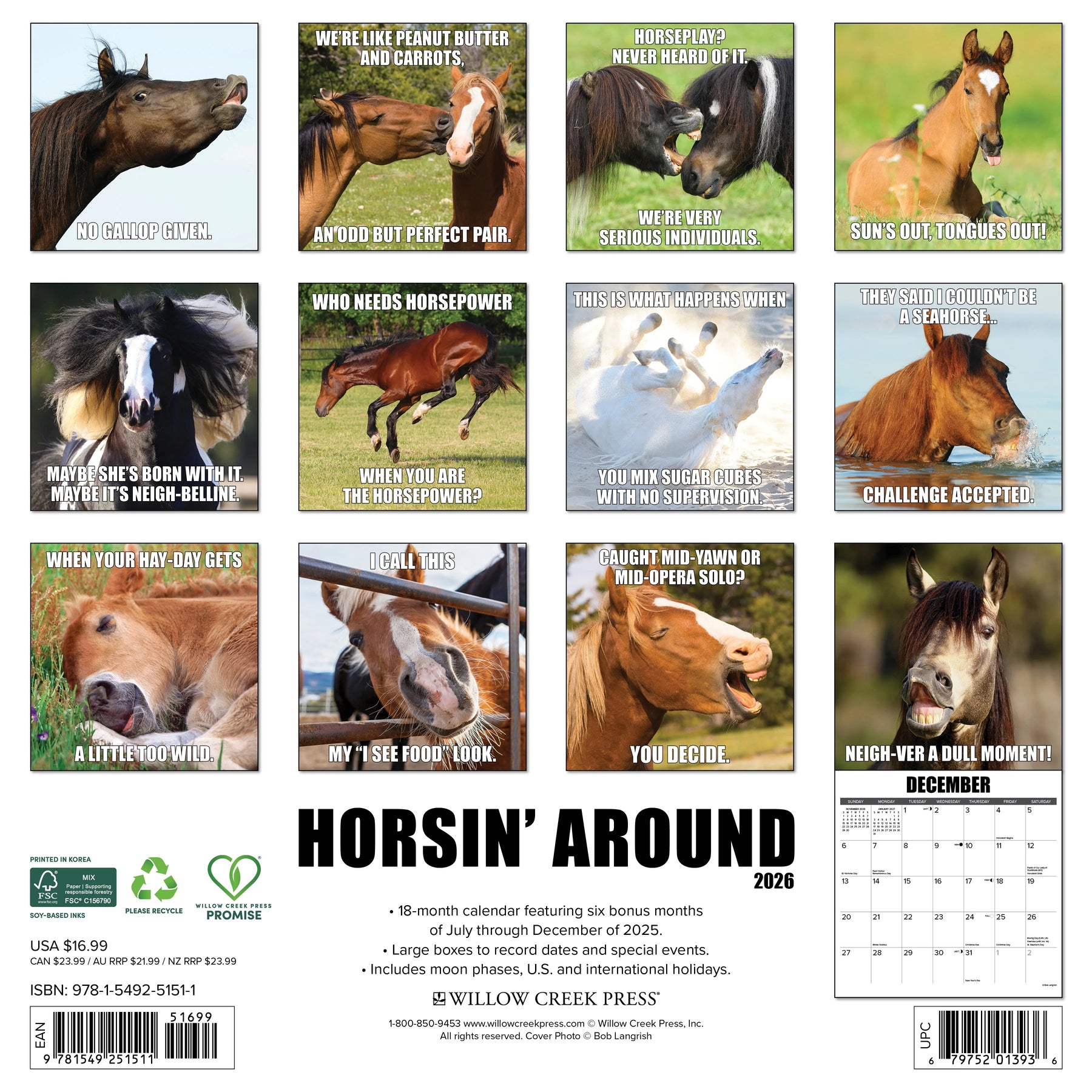 Willow Creek Press - 2026 Horsin' Around Calendar