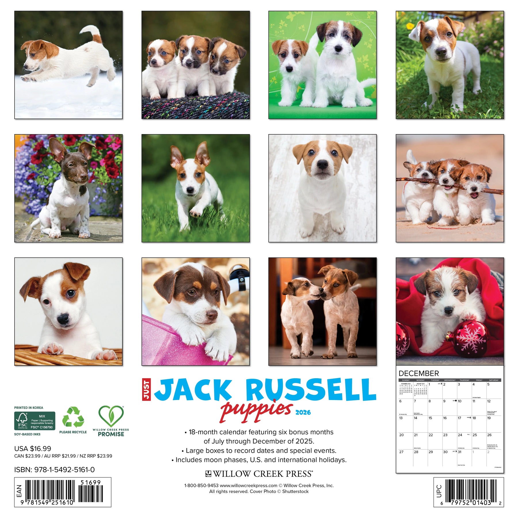 Willow Creek Press - 2026 Jack Russell Puppies Calendar