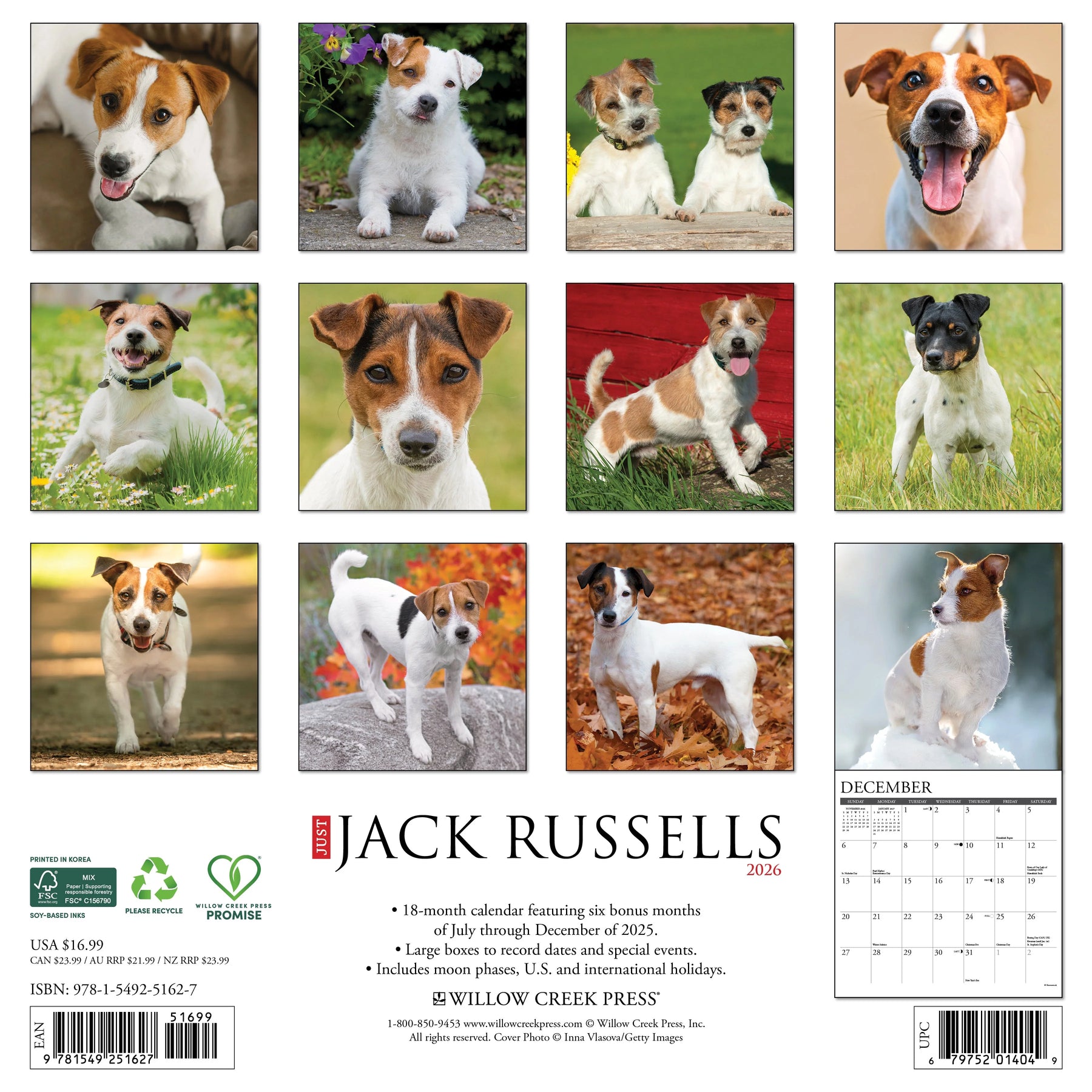 Willow Creek Press - 2026 Jack Russells Calendar