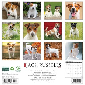 Willow Creek Press - 2026 Jack Russells Calendar