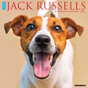Willow Creek Press - 2026 Jack Russells Calendar