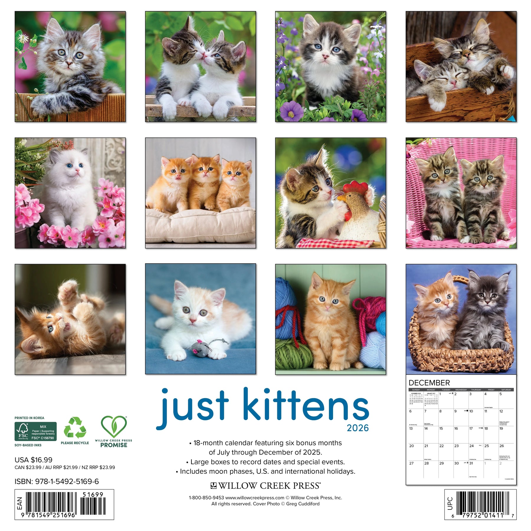 Willow Creek Press - 2026 Kittens Calendar