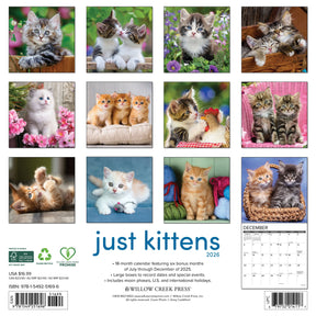 Willow Creek Press - 2026 Kittens Calendar