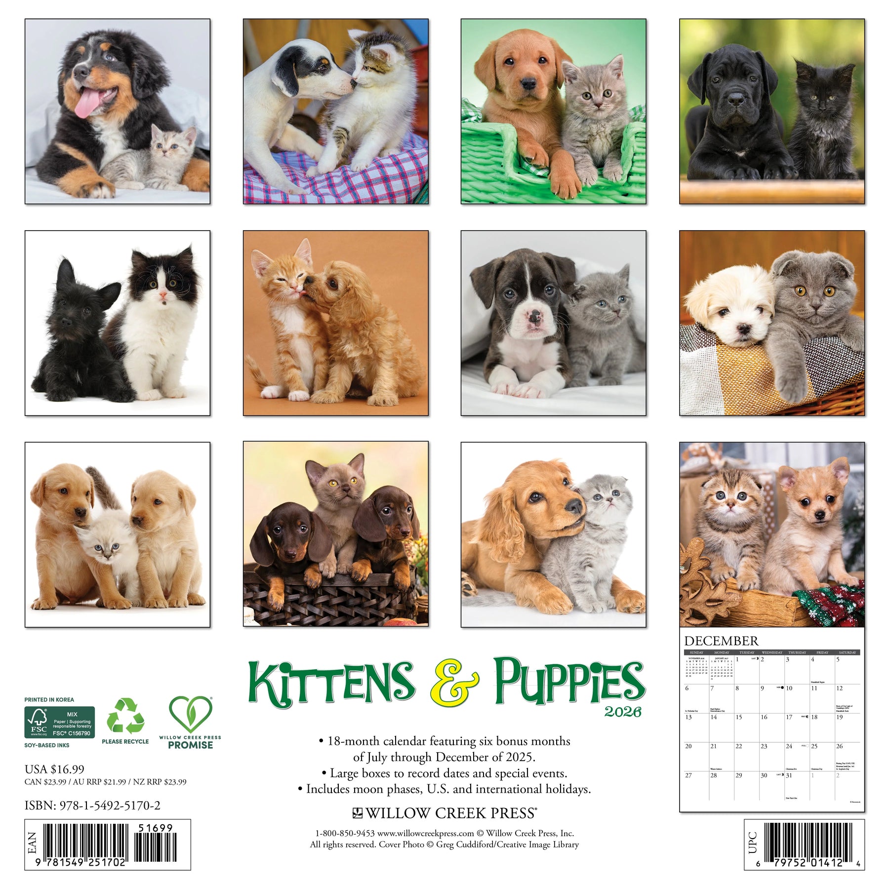 Willow Creek Press - 2026 Kittens & Puppies Calendar