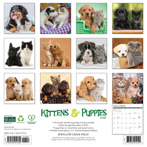 Willow Creek Press - 2026 Kittens & Puppies Calendar
