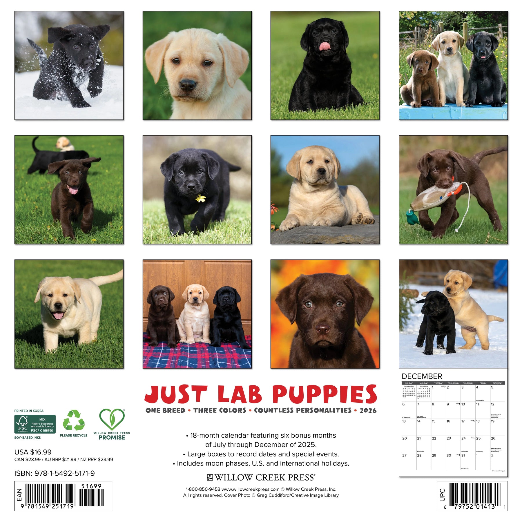 Willow Creek Press - 2026 Lab Puppies Calendar
