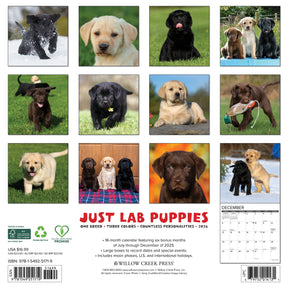 Willow Creek Press - 2026 Lab Puppies Calendar