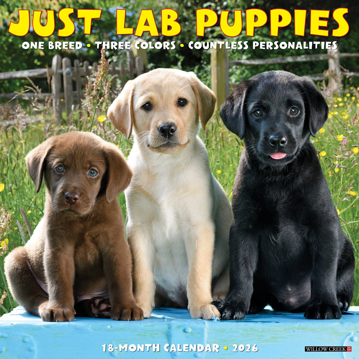 Willow Creek Press - 2026 Lab Puppies Calendar
