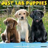 Willow Creek Press - 2026 Lab Puppies Calendar