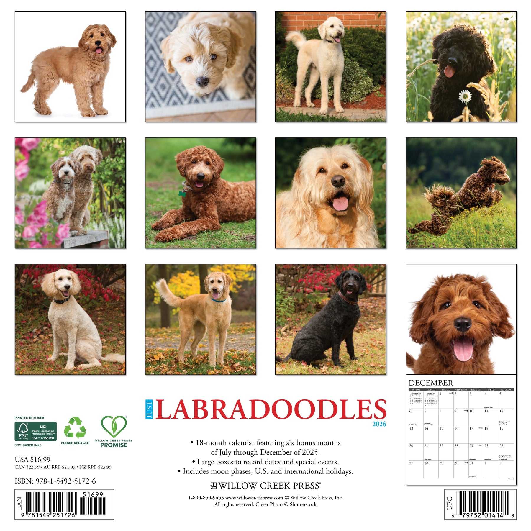 Willow Creek Press - 2026 Labradoodles Calendar