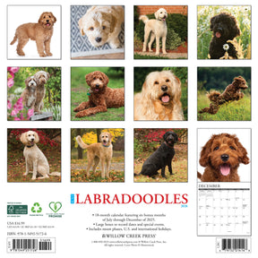 Willow Creek Press - 2026 Labradoodles Calendar