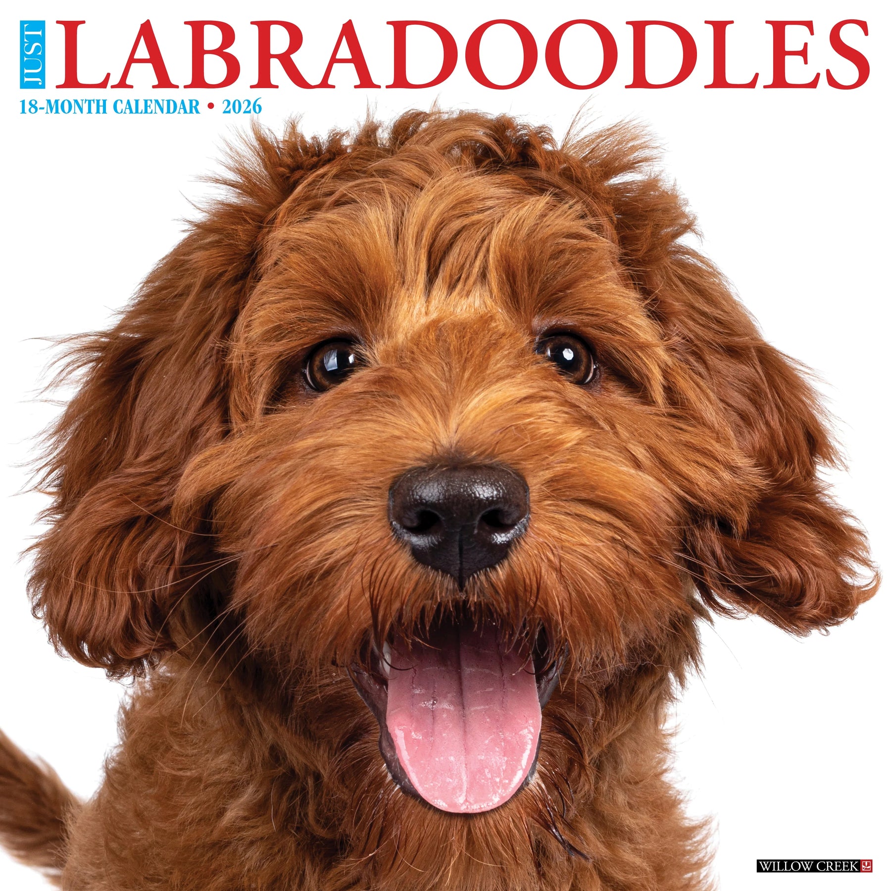 Willow Creek Press - 2026 Labradoodles Calendar