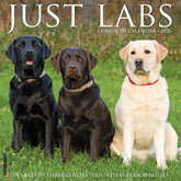 Willow Creek Press - 2026 Labs Calendar