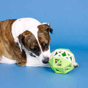 Petshop by Fringe Studio - This Is How I Roll Lime and White Rubber Dog Toy