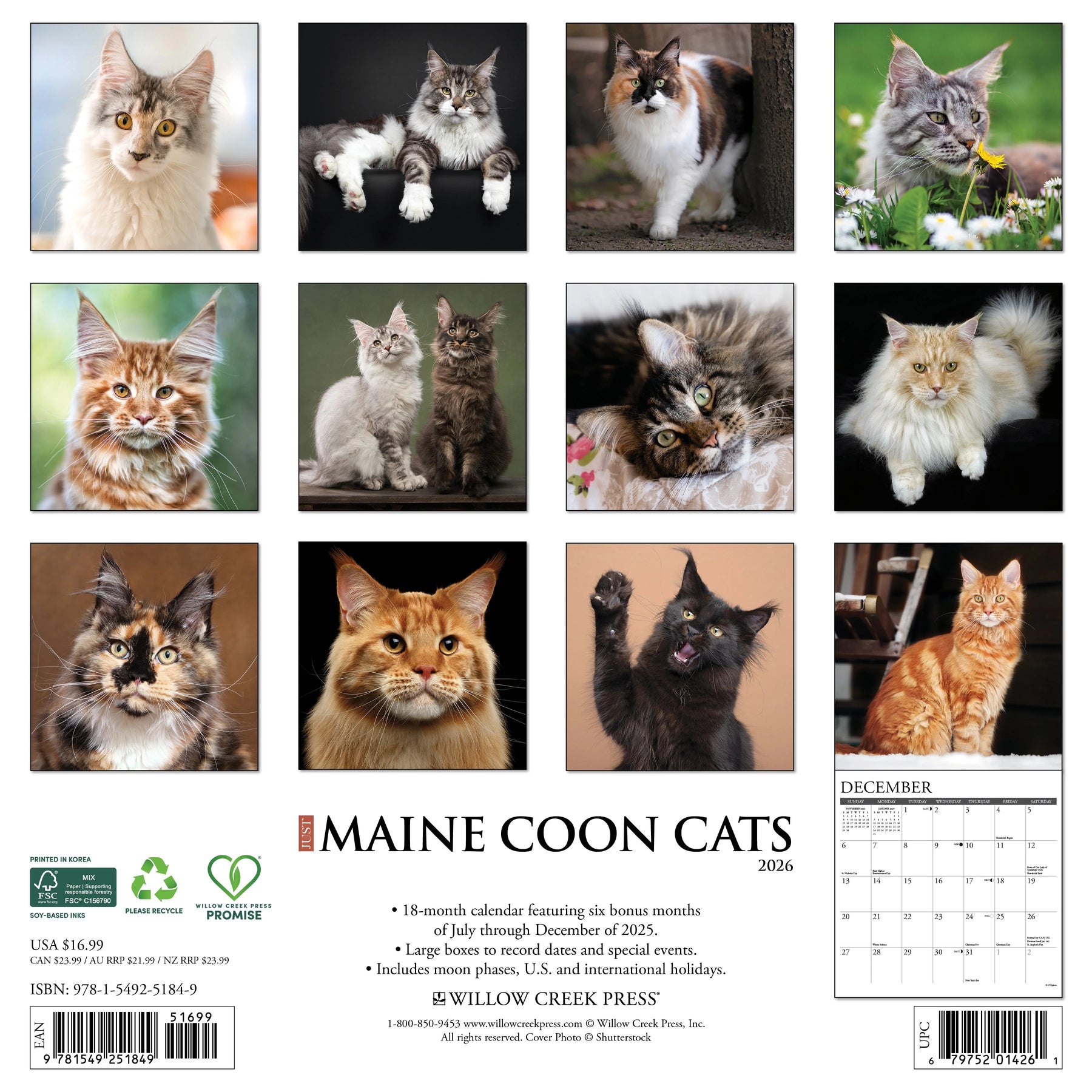 Willow Creek Press - 2026 Maine Coon Cats Calendar