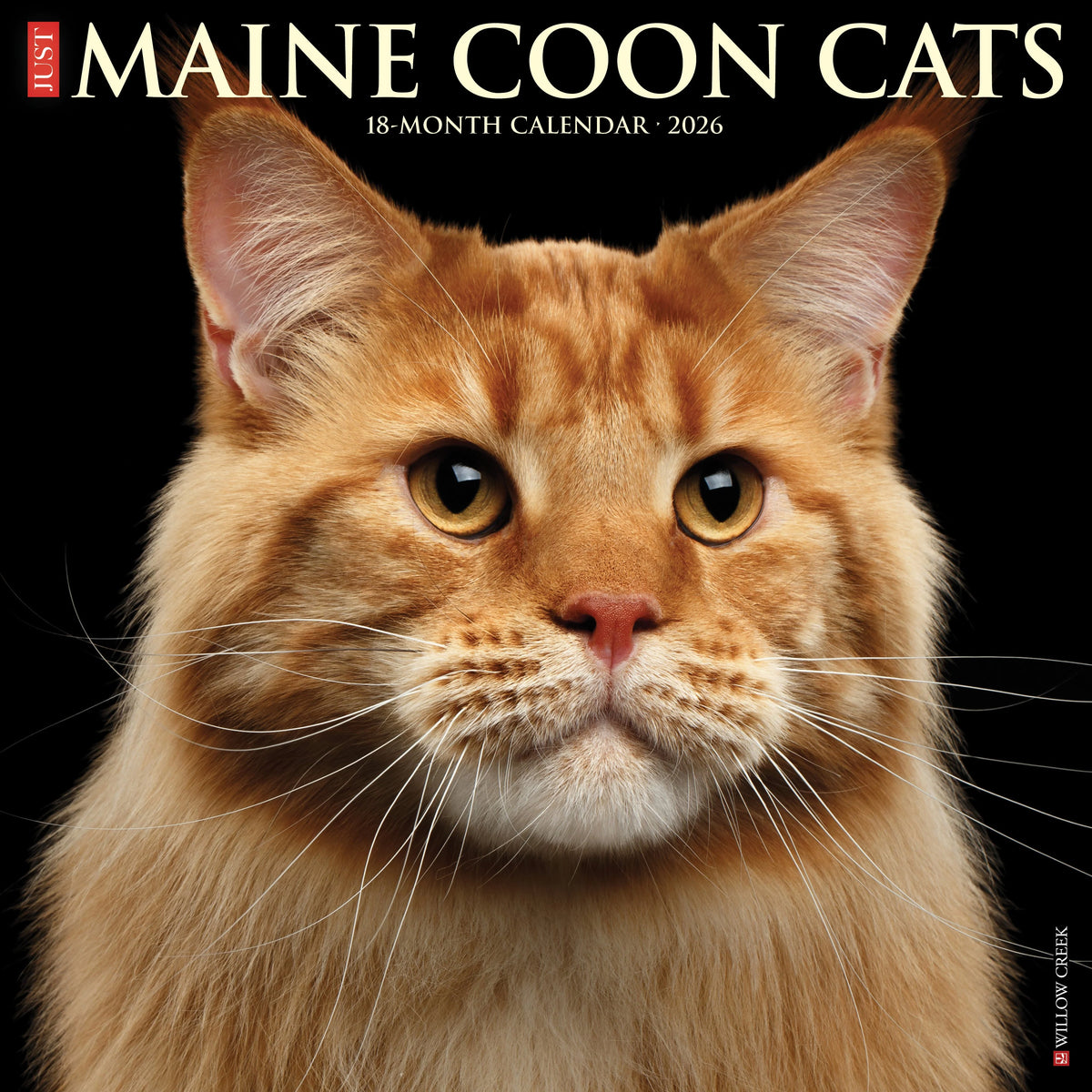 Willow Creek Press - 2026 Maine Coon Cats Calendar