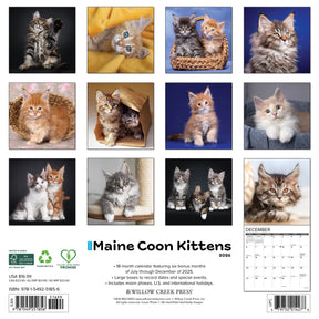 Willow Creek Press - 2026 Maine Coon Kittens Calendar