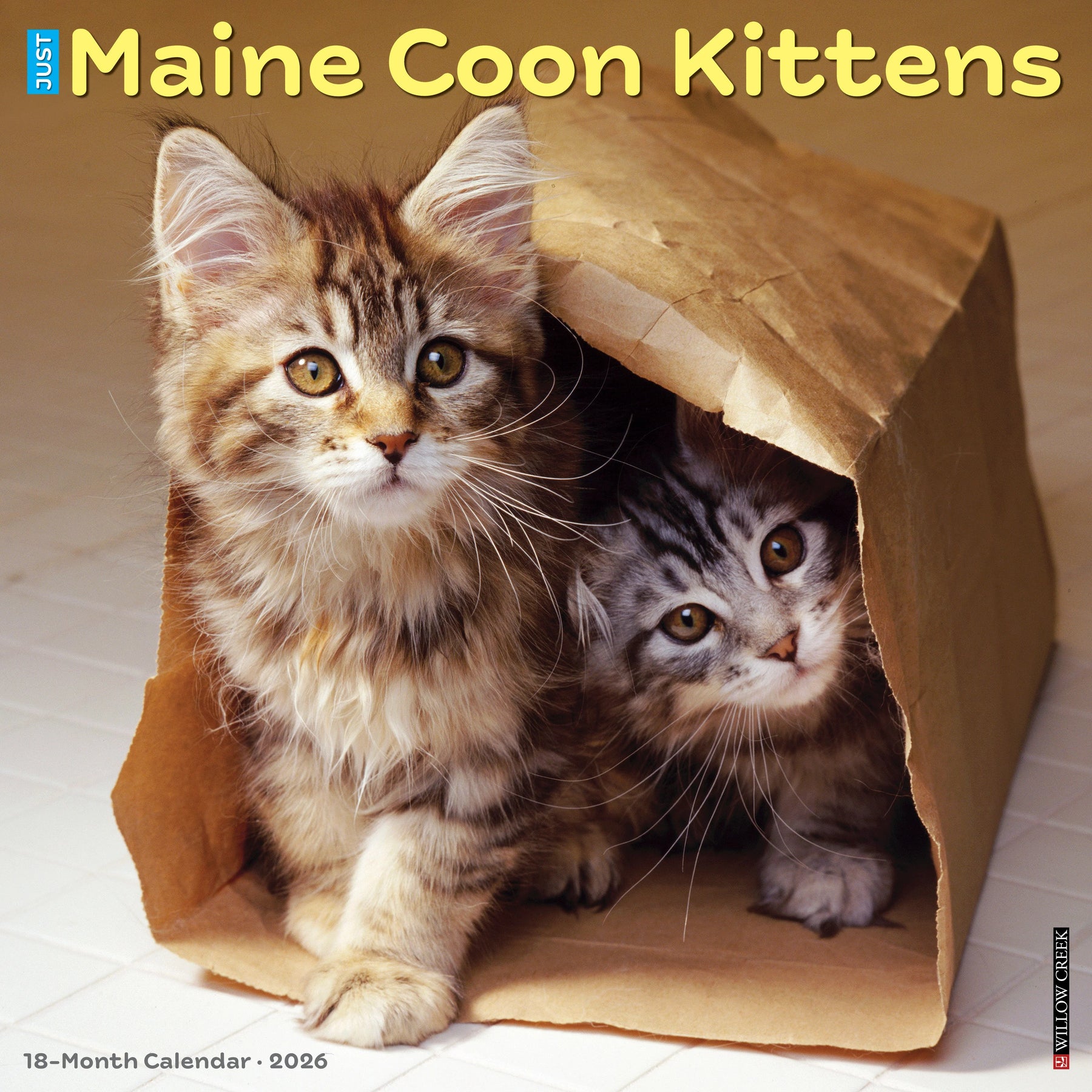Willow Creek Press - 2026 Maine Coon Kittens Calendar