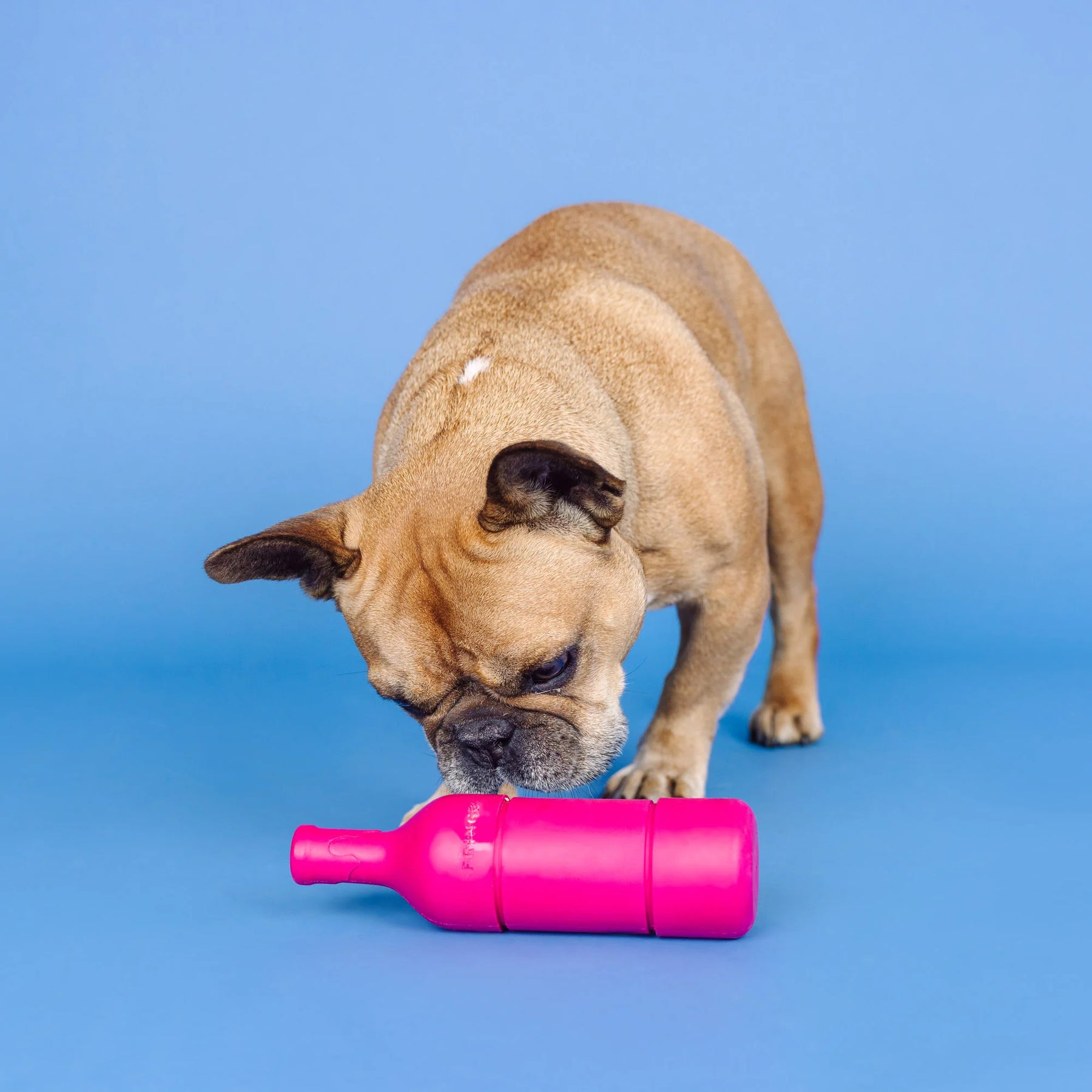 Petshop by Fringe Studio - Dog Toy Wine Please