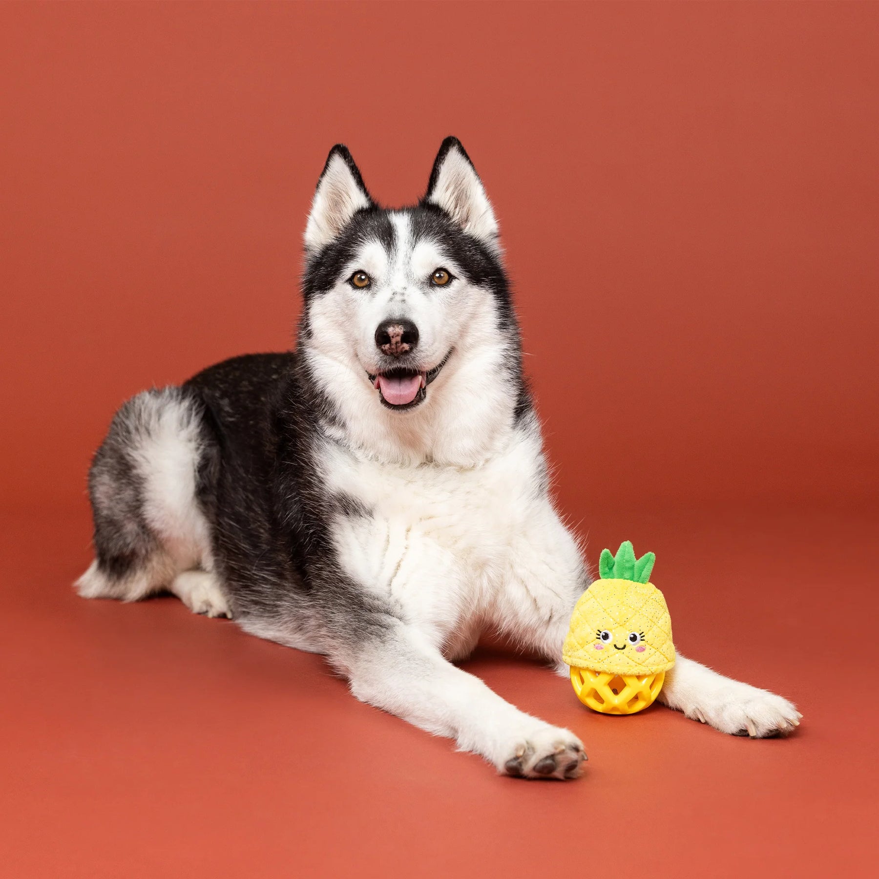 Petshop by Fringe Studio - Dog Toy Plush Pining For You