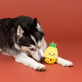 Petshop by Fringe Studio - Dog Toy Plush Pining For You