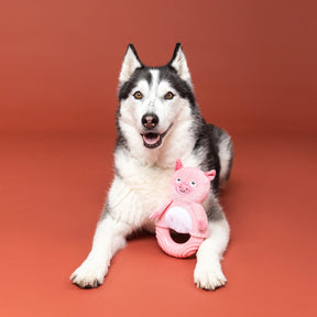 Petshop by Fringe Studio - Dog Toy Plush Get Piggy With It