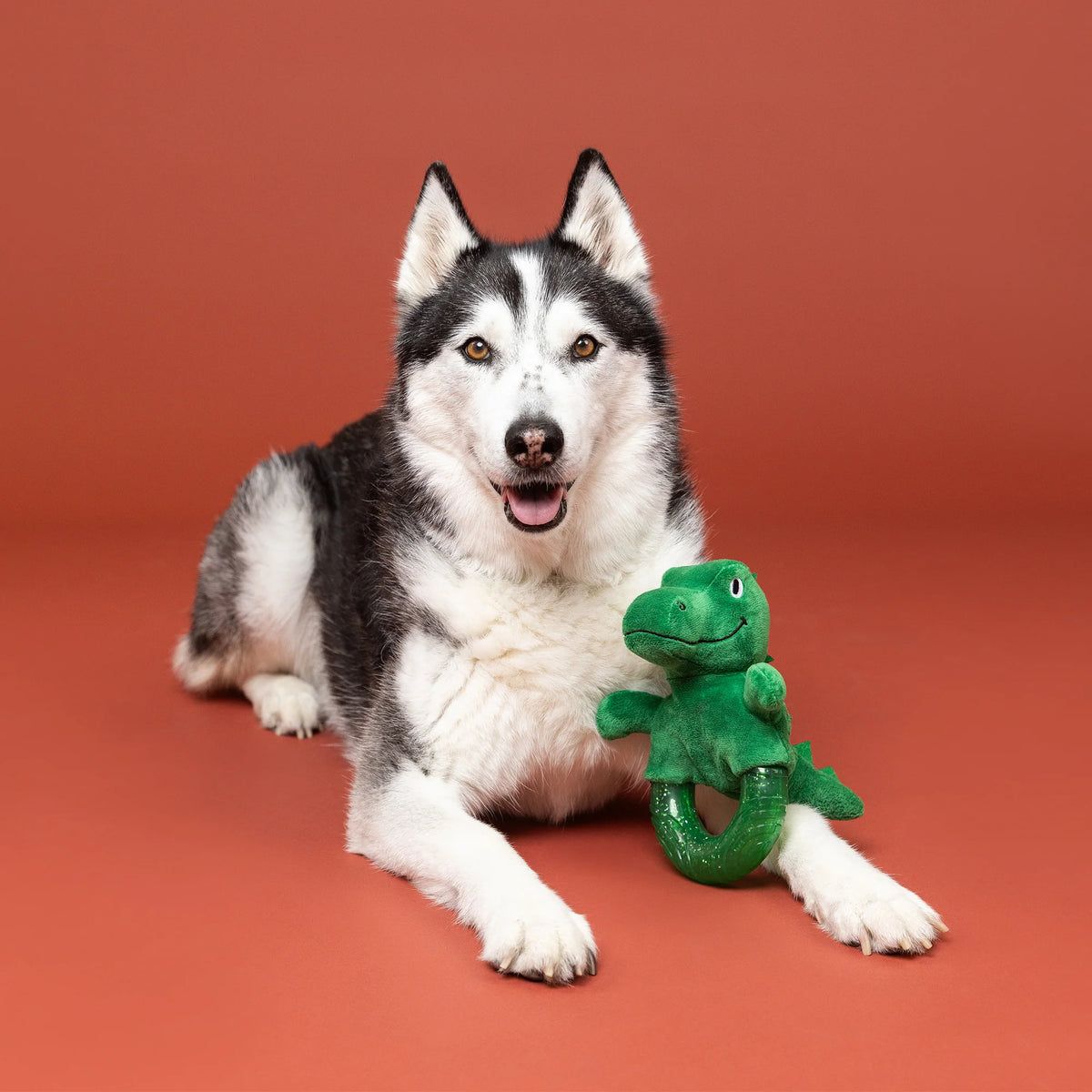 Petshop By Fringe Studio - Dog Toy UNLEASH THE DINO TPR