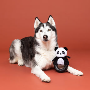 Dog Toy Plush Stupandaous