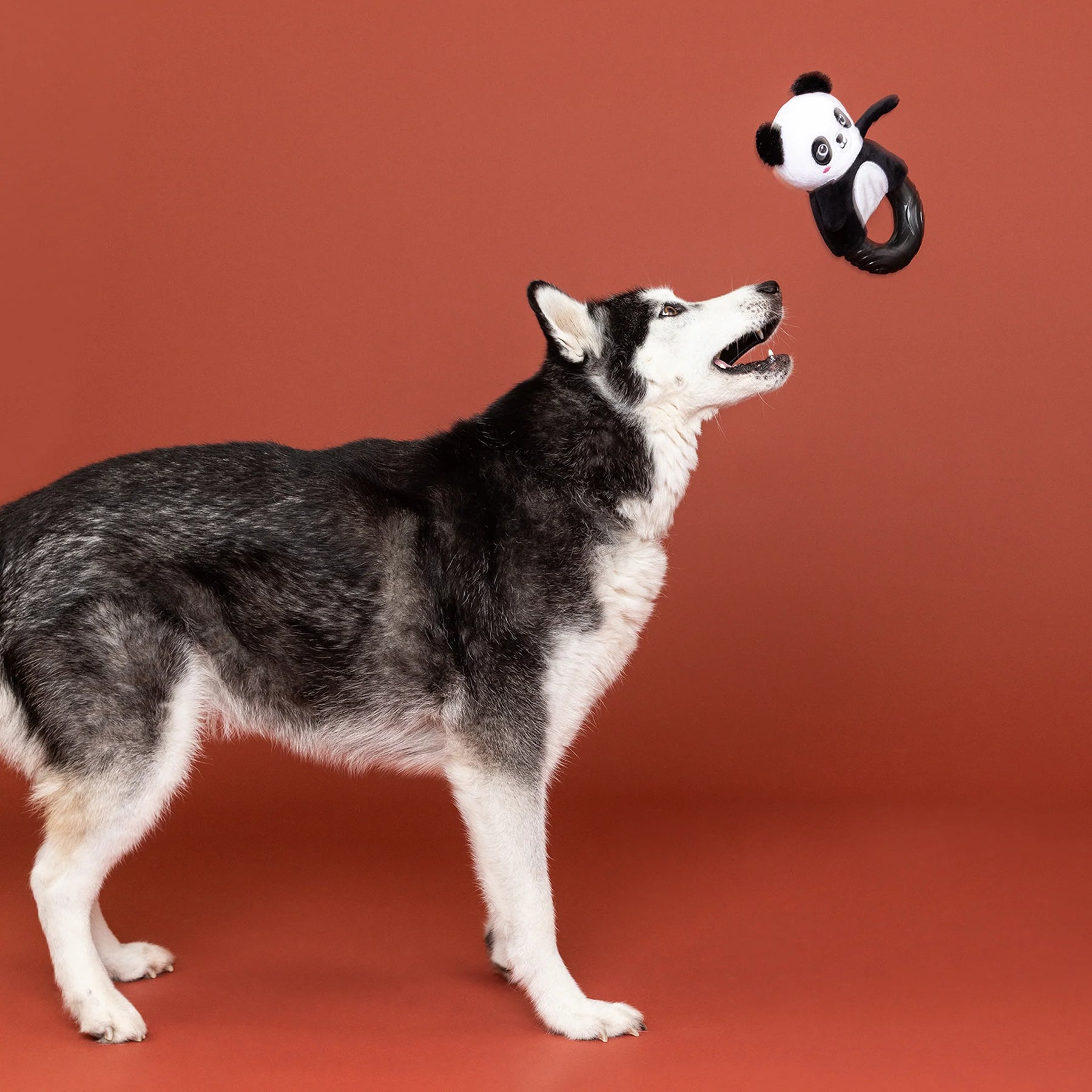 Dog Toy Plush Stupandaous