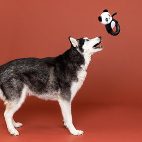 Dog Toy Plush Stupandaous