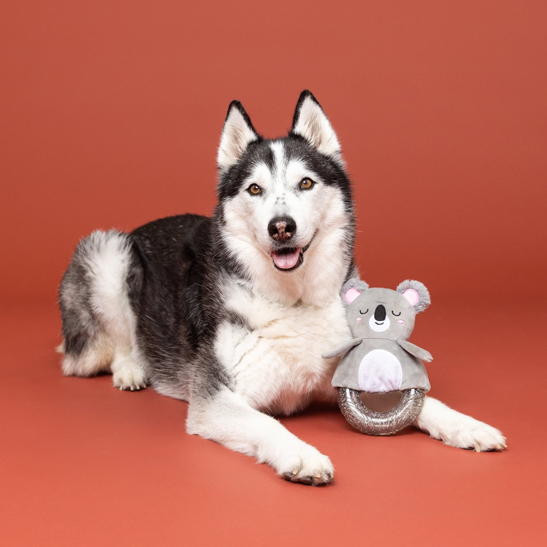 Petshop by Fringe Studio - Dog Toy Plush Koalty Vibes