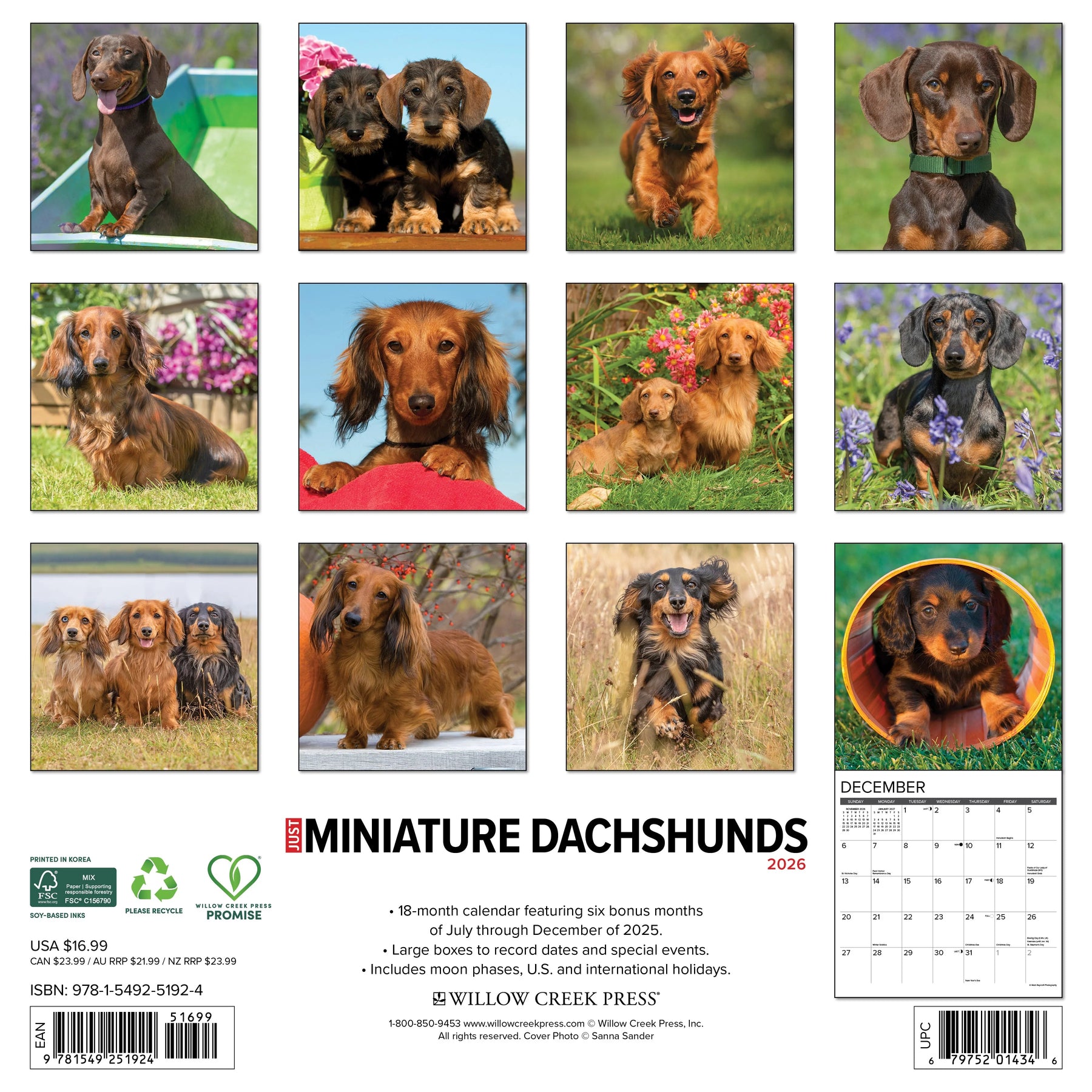 Willow Creek Press - 2026 Miniature Dachshunds Calendar