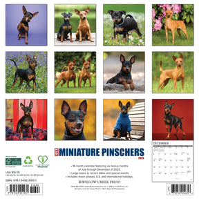 Willow Creek Press - 2026 Miniature Pinschers Calendar