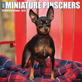 Willow Creek Press - 2026 Miniature Pinschers Calendar