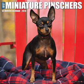 Willow Creek Press - 2026 Miniature Pinschers Calendar