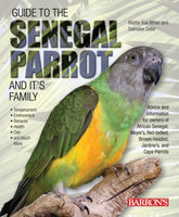Guide to the Senegal Parrot & Its Family