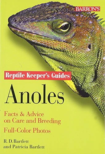 Anoles Reptile Keeper's Guide