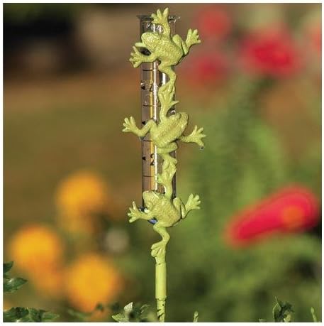 Ancient Graffiti - Rain Gauge Frog