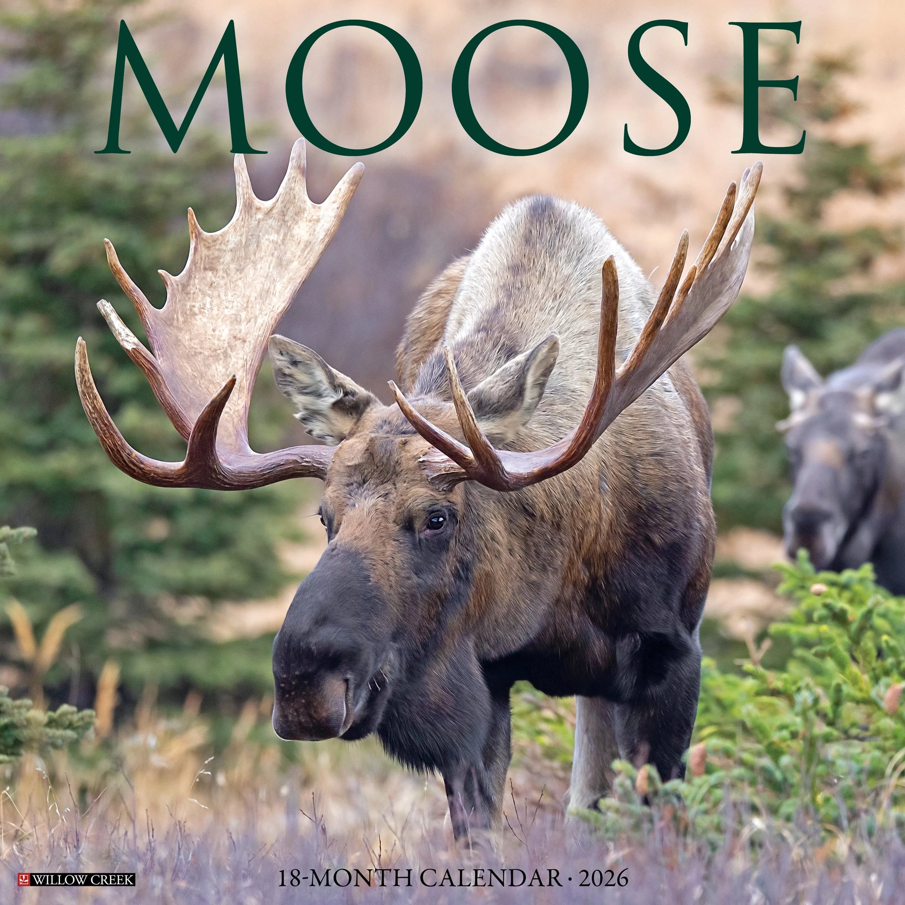 Willow Creek Press - 2026 Moose Calendar