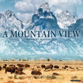 Willow Creek Press - 2026 Mountain View Calendar