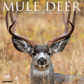 Willow Creek Press - 2026 Mule Deer Calendar