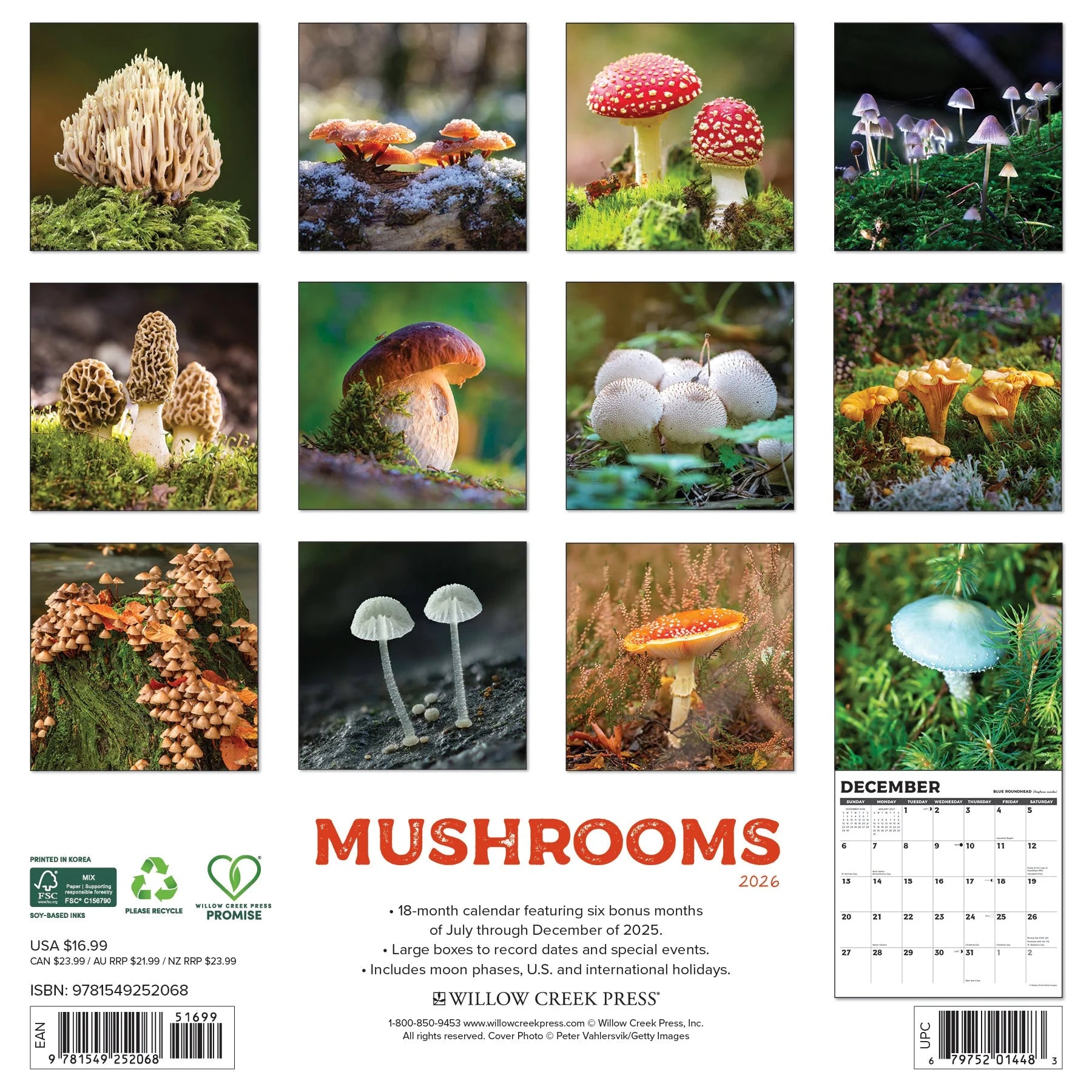 Willow Creek Press - 2026 Mushrooms Calendar