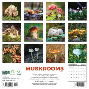 Willow Creek Press - 2026 Mushrooms Calendar
