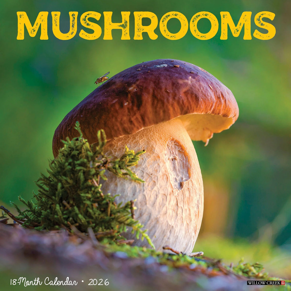 Willow Creek Press - 2026 Mushrooms Calendar